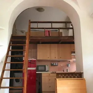 Romakumamoto , Roma Italia